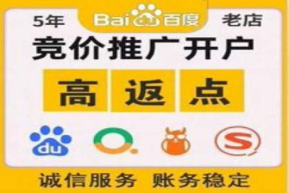 百度竞价代运营实战：某电商平台的销量翻倍秘诀
